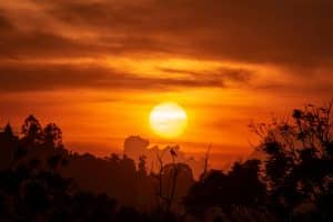 Sun set in Africa