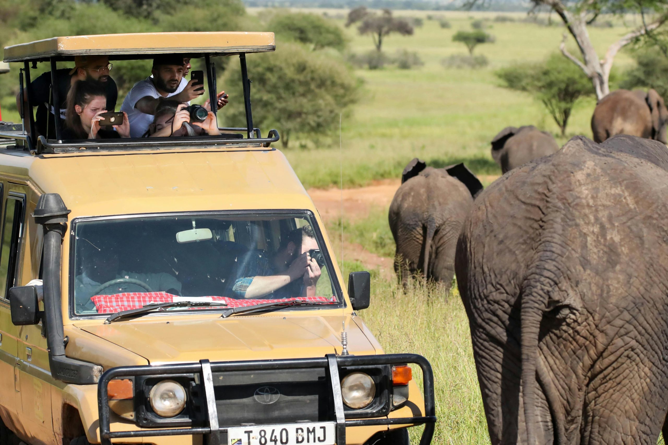 game drive in serengeti national park