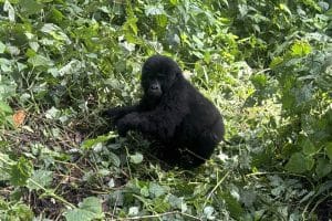 Group Tours To Africa